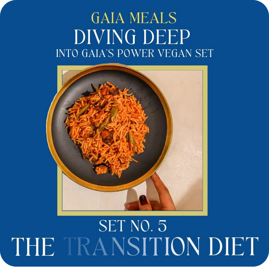 Set No.5 The Transition Diet